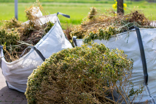 Best Full-Service Junk Removal  in Ceredo, WV